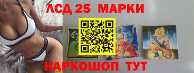 дмт Кимры