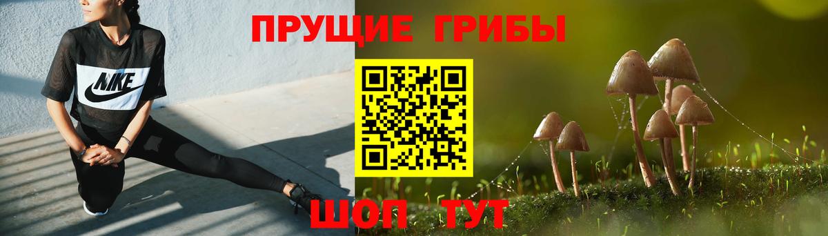 Псилоцибиновые грибы прущие грибы Усинск